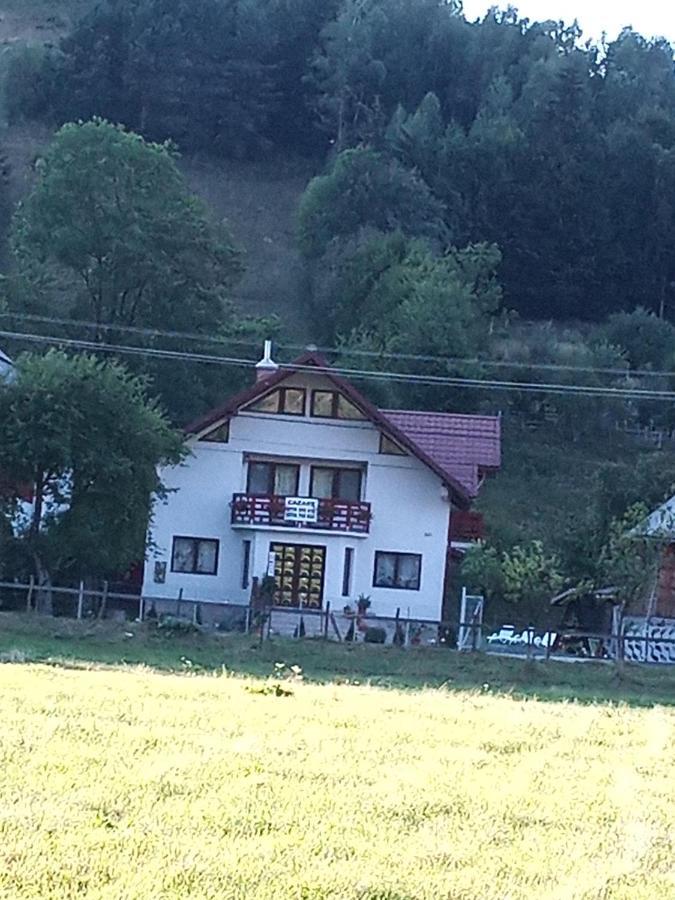 Casa Rares Toc Villa Vidra  Buitenkant foto